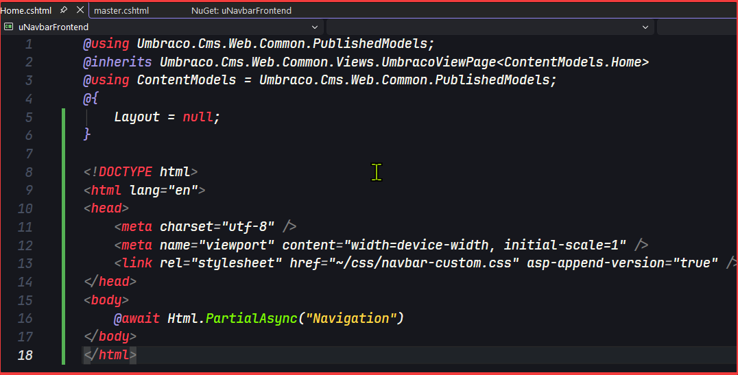 Register the CSS and Partial Views to show the navbar